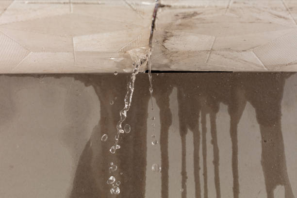 Professional Water Extraction technician working in Shannon, GA
